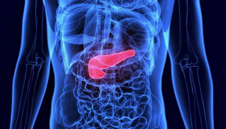 Cancer du pancréas : l'Europe donne un avis favorable au Rasonque, un traitement qui pourrait presque doubler la survie des patients